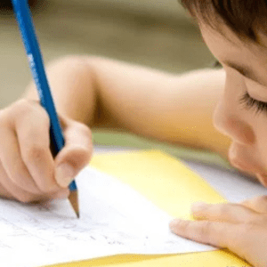 penking-premium-calligraphy-pen-set